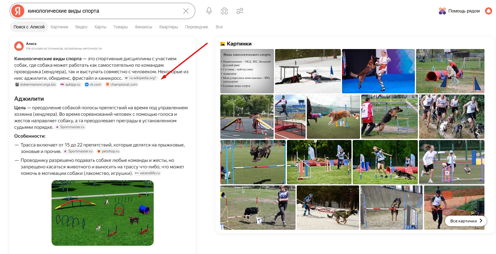 Ссылки на источники не обязательно соответствуют ранжированию сайтов в выдаче: даже страницы с низкими позициями могут попасть в AI-блок, если их контент релевантный и авторитетный